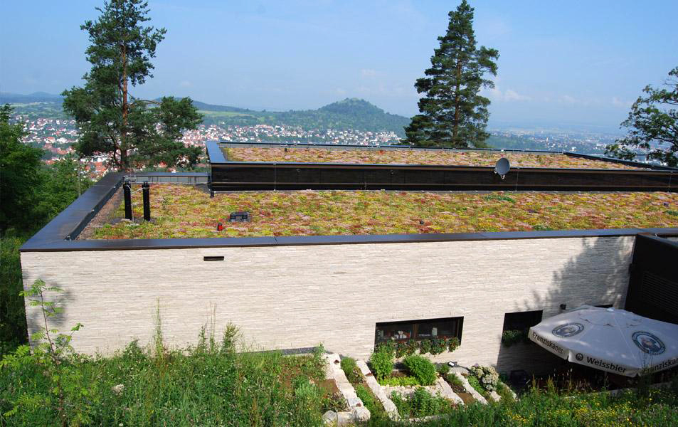 Dachbegrünung des Waldcafés im schwäbischen Pfullingen