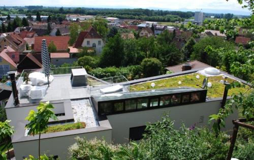 Dachbegrünung auf einem privaten Wohnhaus in Offenburg