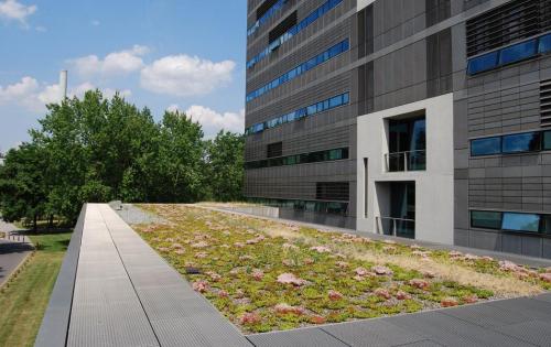 Dachbegrünung des Forschunginstituts BioQuant der Universität Heidelberg