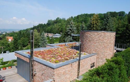 Dachbegrünung auf einem privaten Wohnhaus im schwäbischen Reutlingen