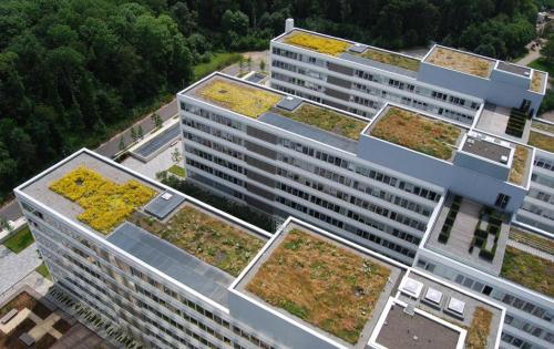 Blick auf das Gründach des EnBW-Gebäudes in Stuttgart-Fasanenhof