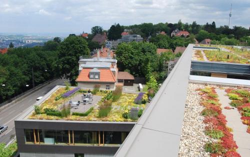 Blick auf das Gründach mit Freisitz der Bezirksärztekammer Nordwürttemberg in Stuttgart