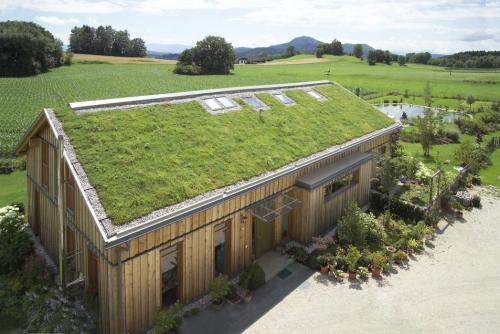 Dachbegrünung der Biobaumschule Eschenhof in St. Veit an der Glan